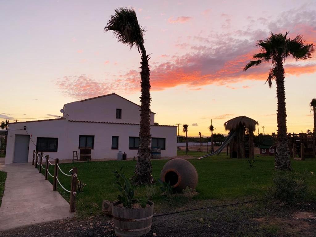La Finestra Del Delta Guest House L'Ampolla Bagian luar foto